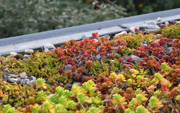 the cost of Pentwyn green roof installation