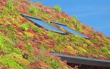 Pentwyn living roof systems